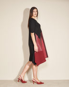 DANA BORDO (4)